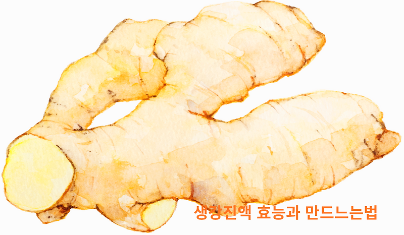 생강진액 효능 및 만드는 법 알아보아요!