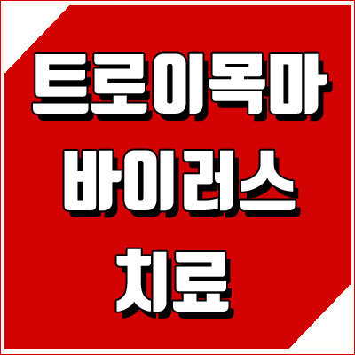 트로이목마 바이러스 치료 및 제거 방법 총정리