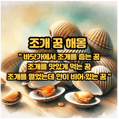 🌊 조개 꿈 해몽 (바닷가에서 조개를 줍는 꿈/조개를 …