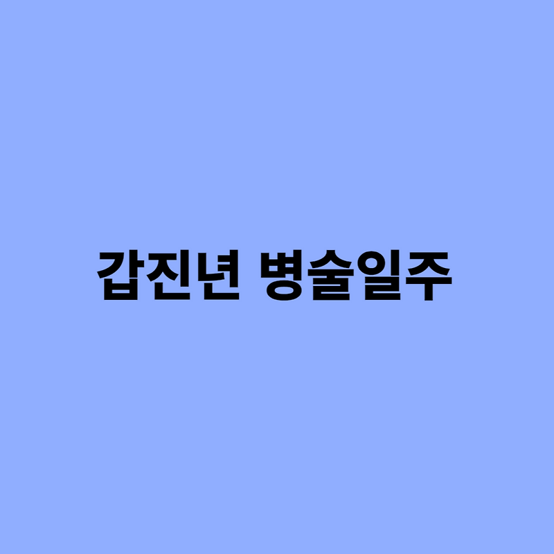 2024 갑진년 병술일주 남자, 여자 사주