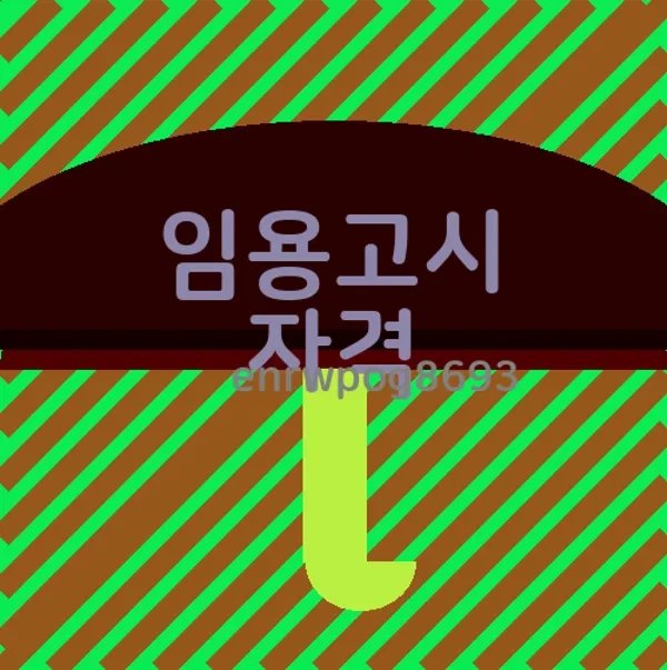 임용고시 자격 난이도 경쟁률 정리 - 어어어어!