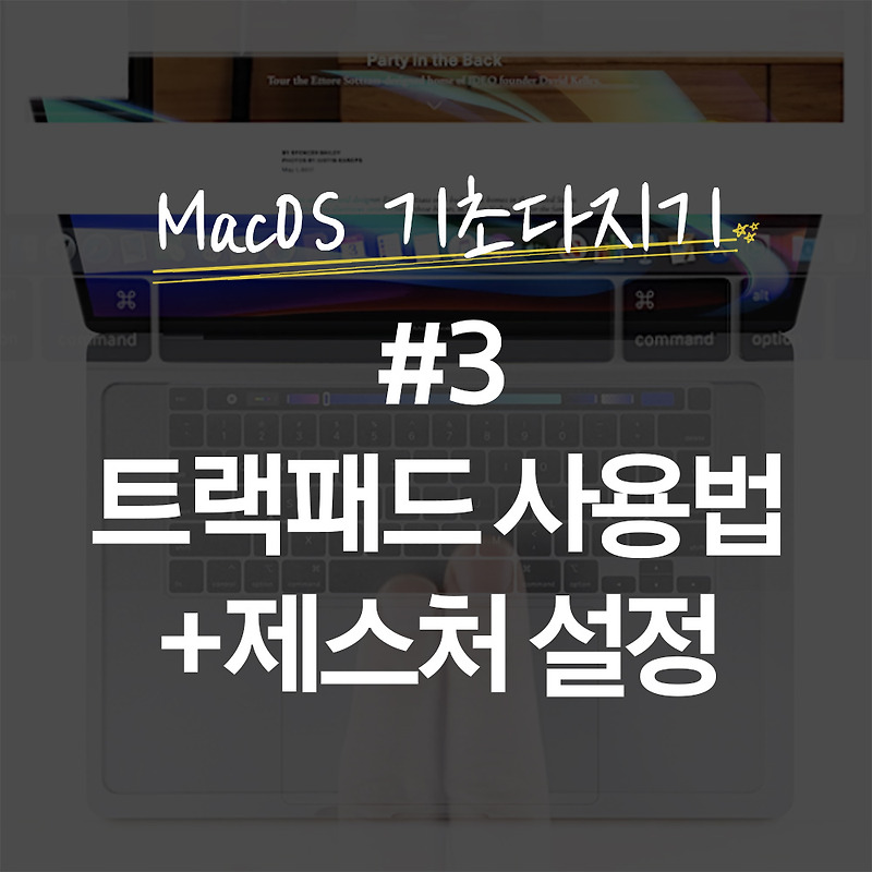 MacOS 기초다지기 #3 트랙패드 사용법 + 제스처 설정