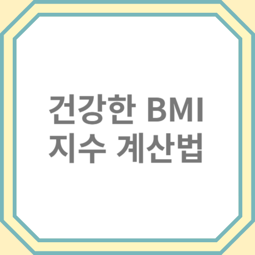 비만과 건강 BMI 지수 계산법 계산기