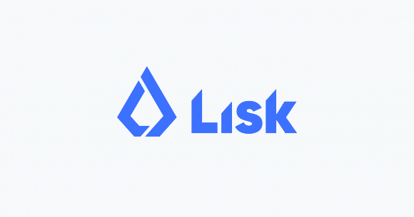 리스크(LSK, Lisk) 코인 소개 및 시세 전망(호재, 상폐, 스캠 분석)