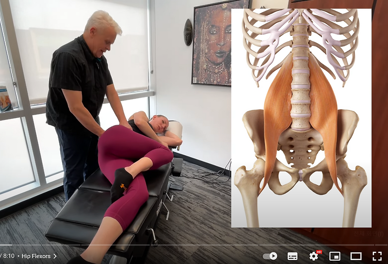 [🦑MSR] Low Back Release Protocol Motion Specific Release (정리)