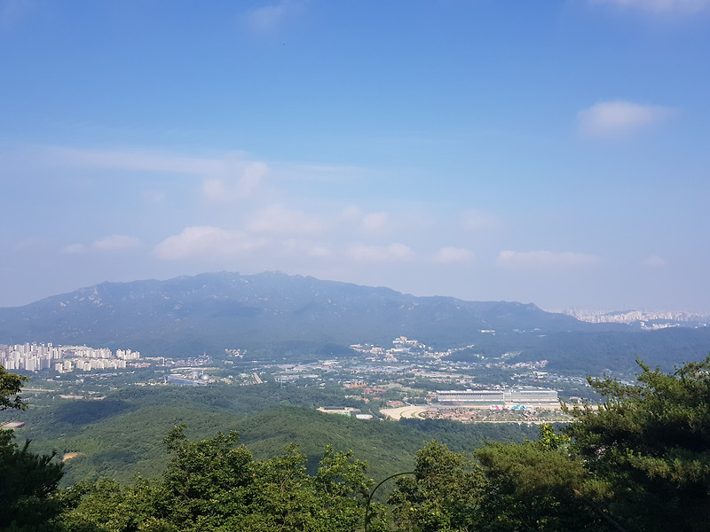 6번째 산 - 청계산 옥녀봉 매봉 (초보자 등산 후기)