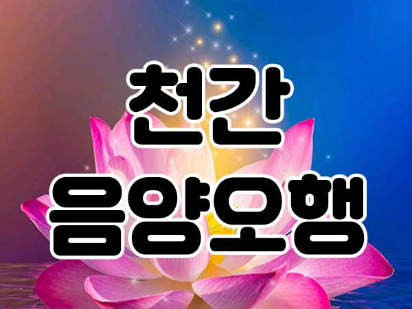 천간 음양 오행 총정리