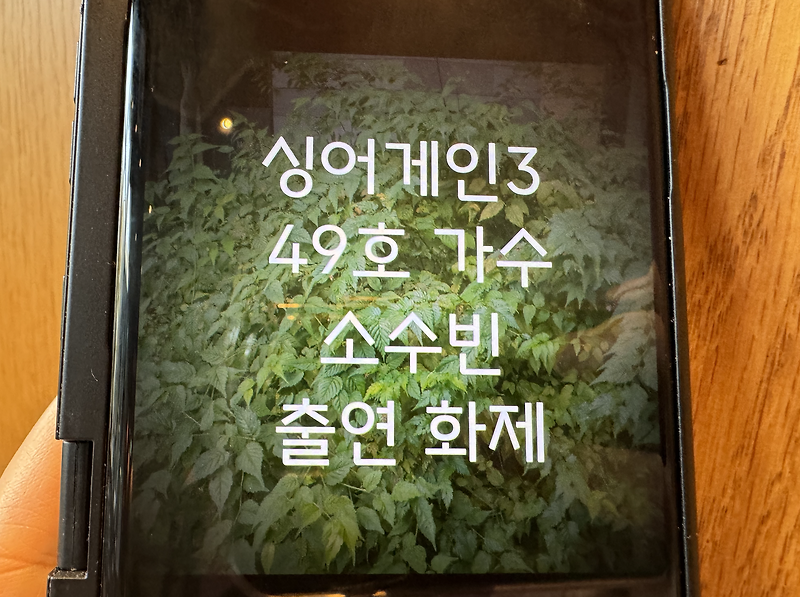 싱어게인3 49호 가수 <b>소수빈</b> 프로필 주목받는 이유