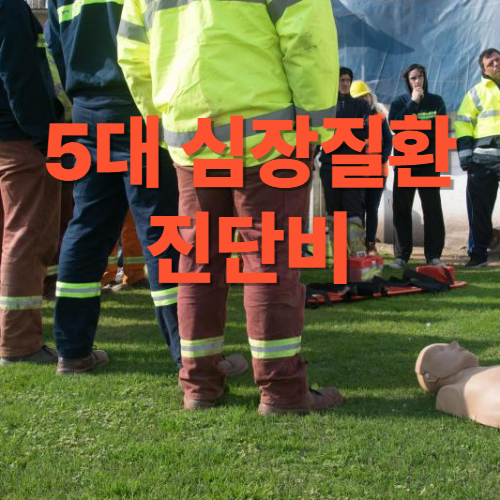심장질환진단비 5대 심장질환 진단비