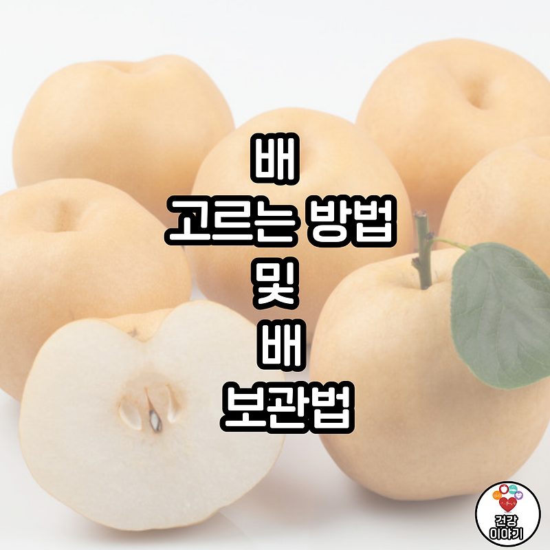 배 고르는 방법 및 배 보관법