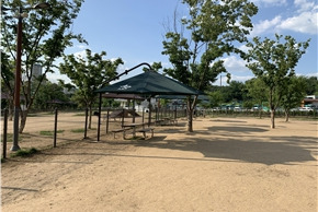 수원 강아지 놀이터 정리