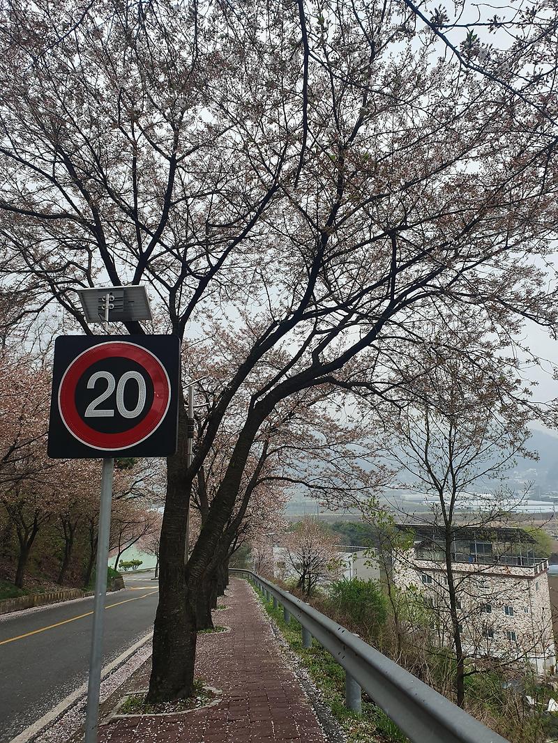 230406