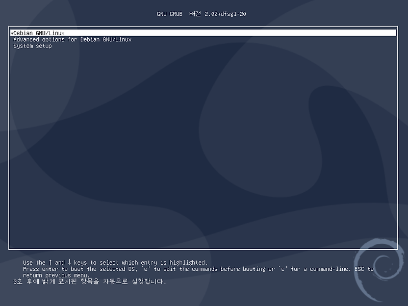 Debian GNU/Linux 10.x.x 설치 가이드