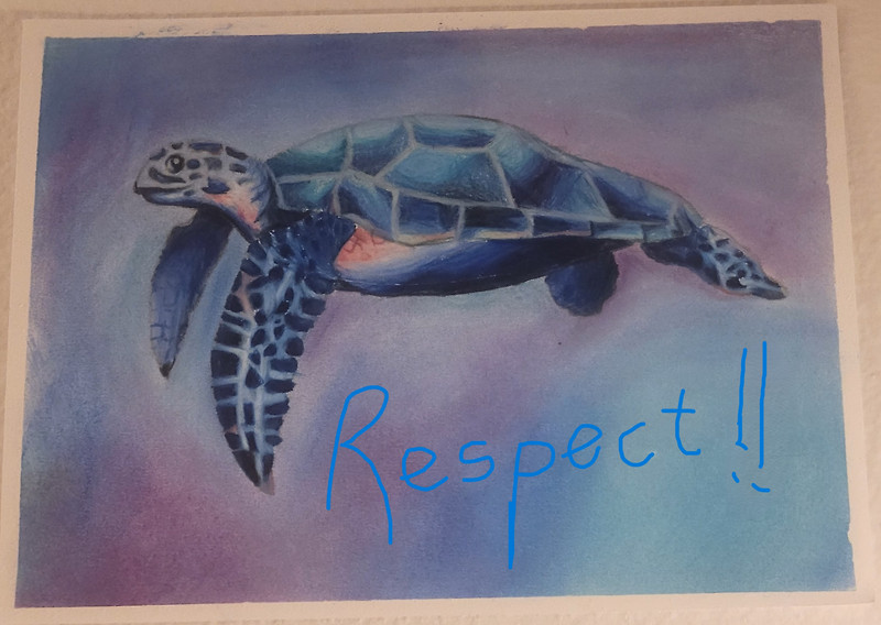 [미국 호칭] Mr. Ms. Mrs. Sir, Ma'am, 선생님을 부를 때는? 친척이나 시댁 호칭은?