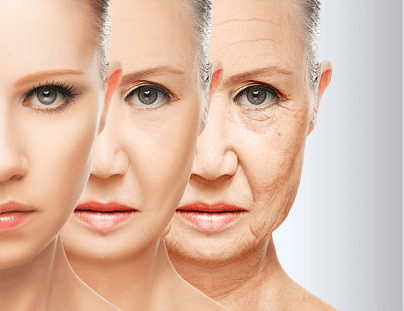 저속 노화(Slow Aging) : 정의, 노화원인, 생활습관, 식단, 식사법 등