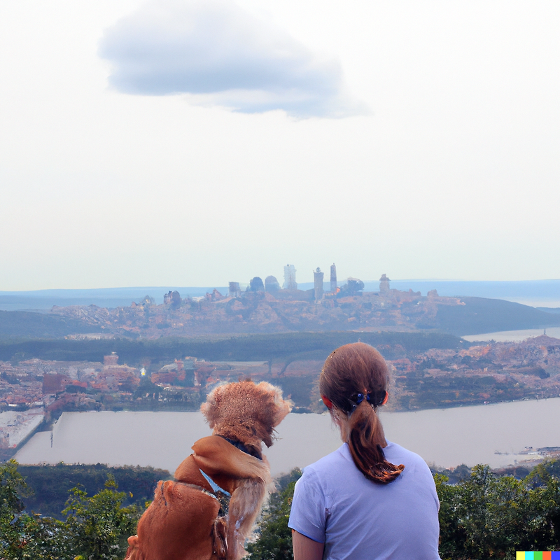 the-top-10-pet-friendly-vacation-destinations-my-pet-and