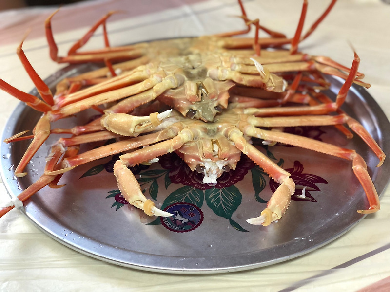 포항 구룡포 가성비 대게 맛집 : 구룡포 대게마트