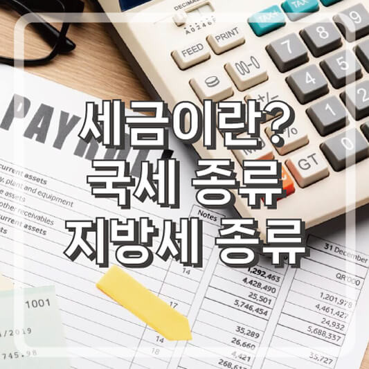 국세와 지방세 세금 종류와 항목별 의미를 알아보자