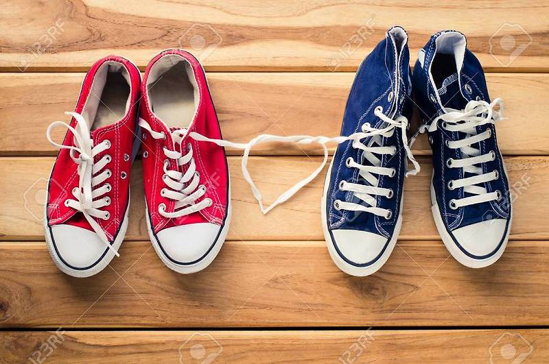 [Idioms] a pair of 한 쌍의 = two things of the same kind used together