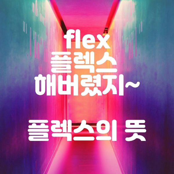 [flex 해버렸지 뭐야~ : 플렉스 뜻] 이효리의 상상 플렉스로 가자/유아인의 여기 Flex하기 좋다