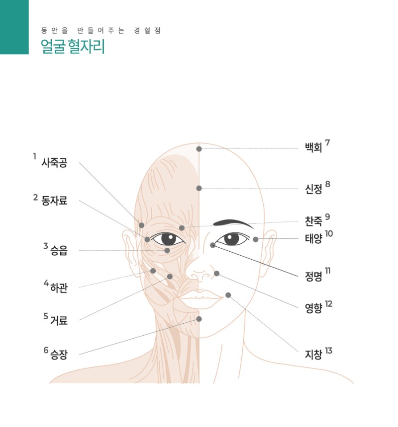 40대 50대 60대 건강한 피부 젊음 유지하는 비결, 동안얼굴 만들기 지압법!