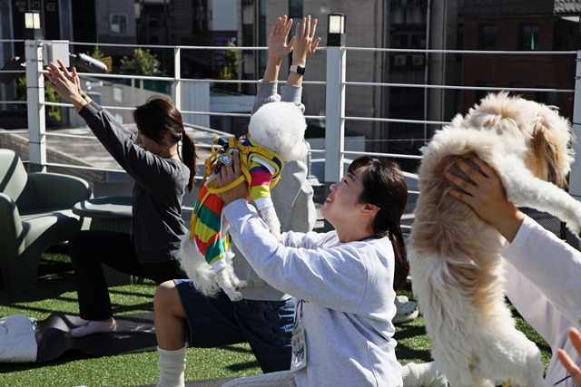 은평구 청년, 여기 다 모여라... "모여라, 요기도기!"