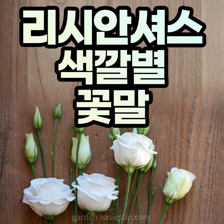 색깔별 리시안셔스의 꽃말