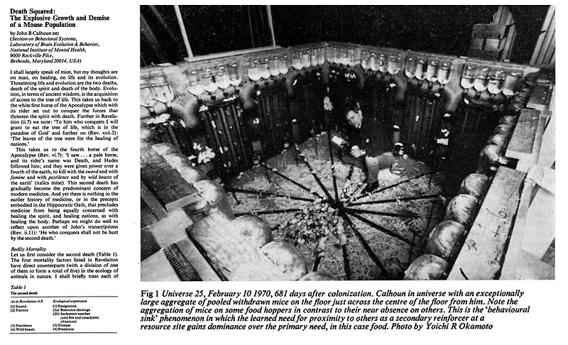 OECD 1위 시리즈 - 출산율(저출산) 및 인구밀도 - 1
