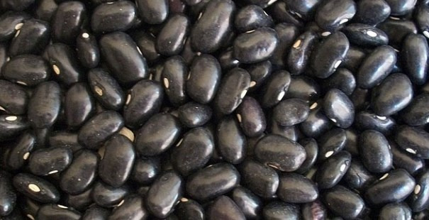 구운 수세미의 항산화 효과로 갱년기 증후군 완화 3