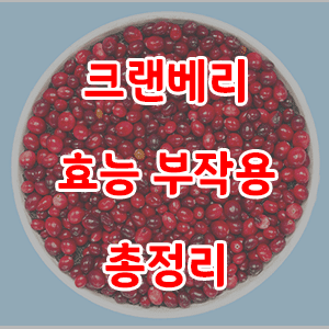 크랜베리 효능 부작용 총정리