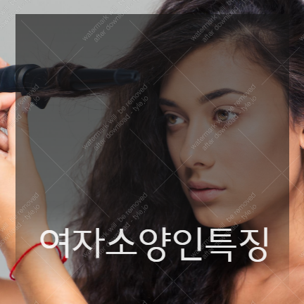 여자소양인특징 이걸 먹어라! :: 가오만사성