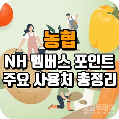 농협 nh 멤버스 포인트 주요 사용처 총정리