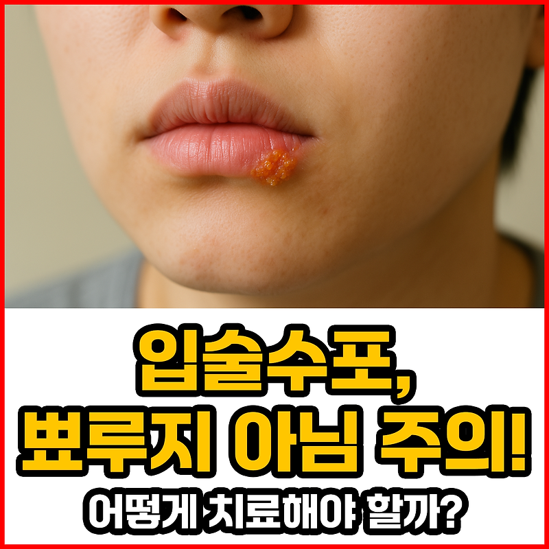 입술수포, 뾰루지 아님 주의! 💥 어떻게 치료해야 할까?