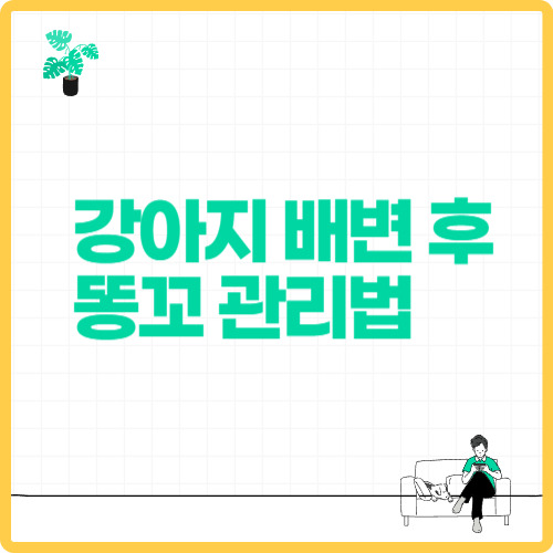 강아지 배변 후 똥꼬 관리법 – 건강하고 깨끗한 습관 만들기