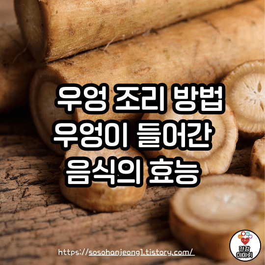 3월 제철음식 우엉 조리 방법 및 우엉이 들어간 음식의 효능