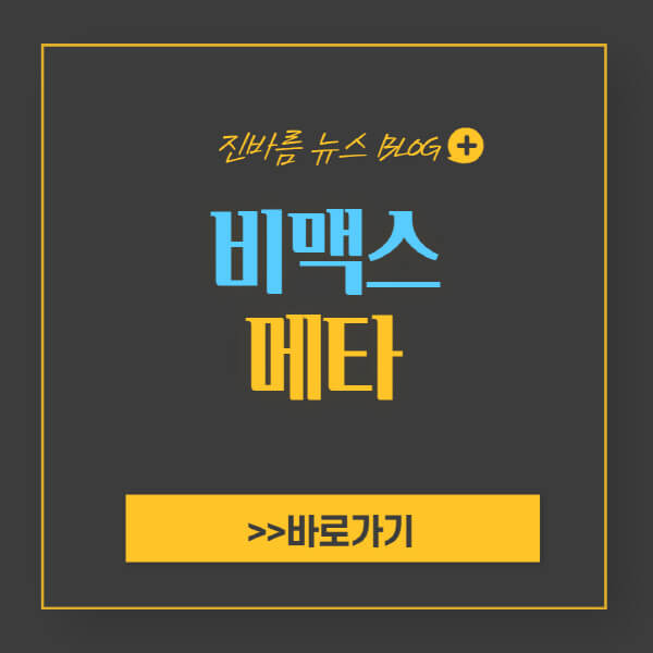 비맥스 메타 가격 및 성지 약국 4만원 찾기 - 진바름뉴스