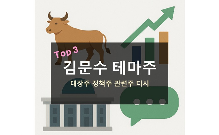 김문수 테마주 대장주 정책주 투자 전략 디시
