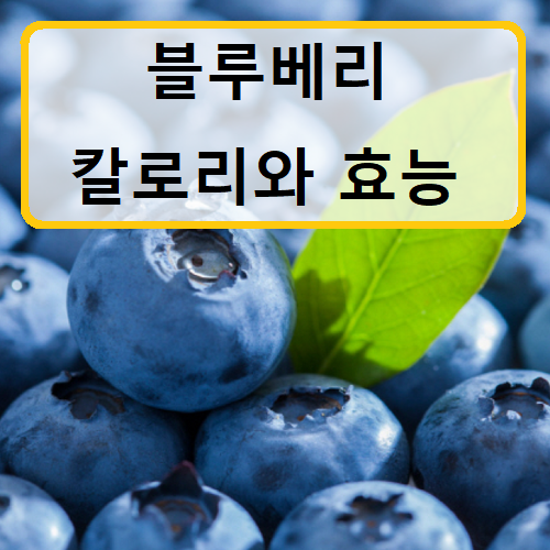 블루베리 칼로리 :: 피지컬 스토리