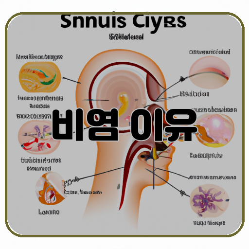 비염 이유 원인 그로 인한 증상들