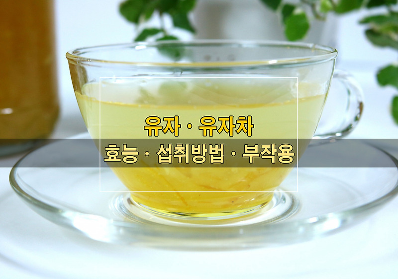 유자차(유자)ㆍ효능ㆍ영양 성분ㆍ칼로리ㆍ부작용