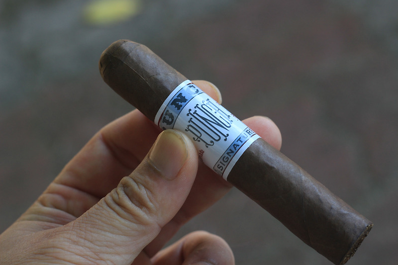 Punch Signature Rothschild 펀치 시그니처 로스차일드