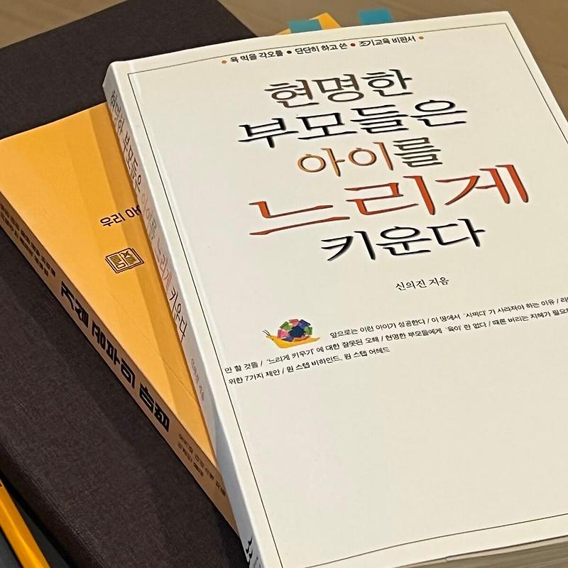 현명한 부모들은 아이를 느리게 키운다, 자녀와 동행하는 소중한 성장 과정 - 삼남매 아빠 행복 찾기