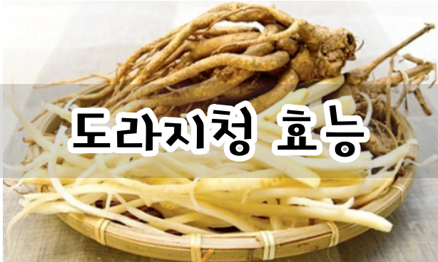 도라지청 효능 부작용 정리