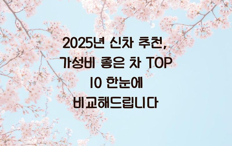 2025년 신차 추천, 가성비 좋은 차 TOP 10 한눈에 비교해드립니다