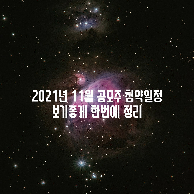 2021년 11월 공모주 청약일정 보기좋게 한번에 정리