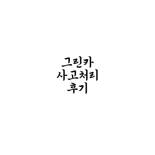 그린카 사고처리 후기, 기다림의 연속