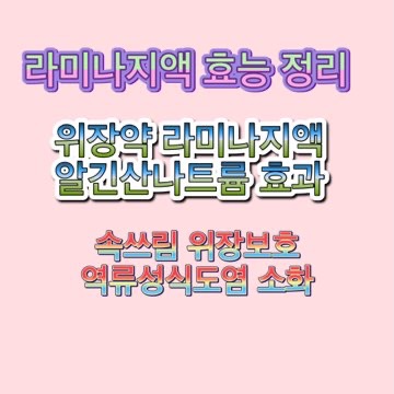 라미나지액 효능 부작용 복용법 가격 정리