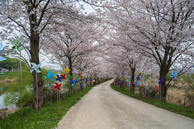 용안생태습지공원, Yongan ecological wetland park
