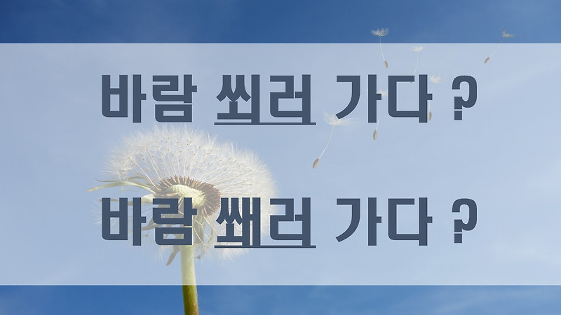 바람쐬다쐐다 맞춤법 바로 알기 :: 보통의 정보들