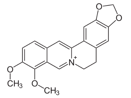 베르베린(Berberine)의 효능